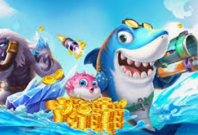 乐竞足球网页登录入口免费版